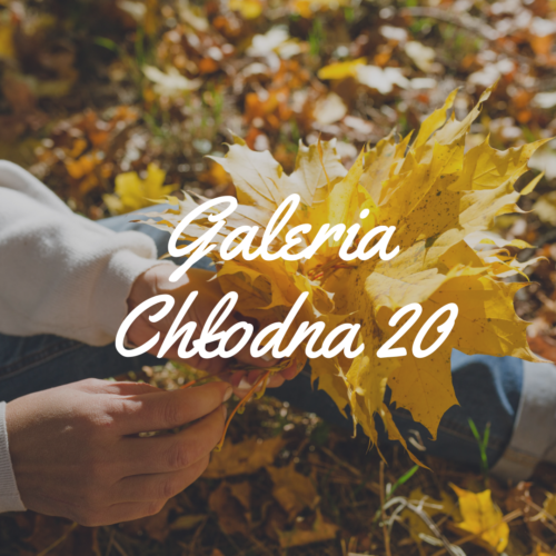 Galeria Chłodna 20