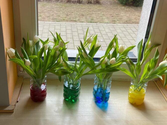 Farbujemy tulipany