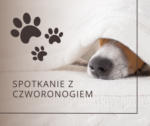 Wyjątkowy gość w Grupie VI!
