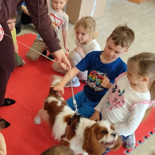 Pół godzinki dla Rodzinki